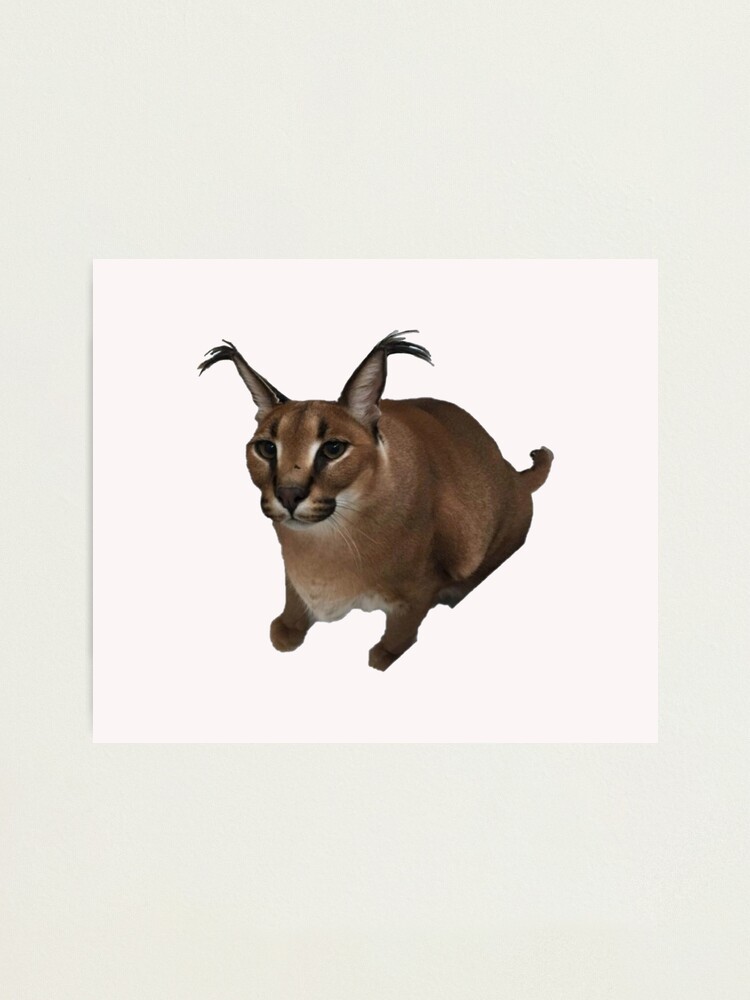 Big floppa, Caracal Meme at Sweatshirt