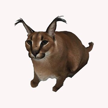  Big Floppa Meme Cute Caracal Cat Sweatshirt : Clothing, Shoes &  Jewelry