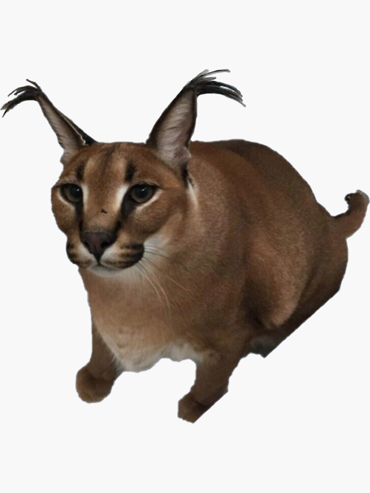 Big floppa  Cat memes, Caracal cat, Cat tshirt