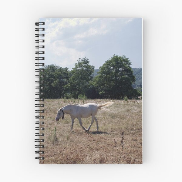 Artikelvorschau, 2016 Cavallo Bianco im Val Bormida entworfen und verkauft von robertoferrero.