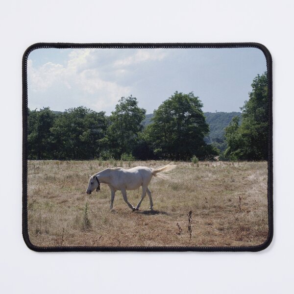 Item preview, 2016 Cavallo bianco in Val Bormida designed and sold by robertoferrero.