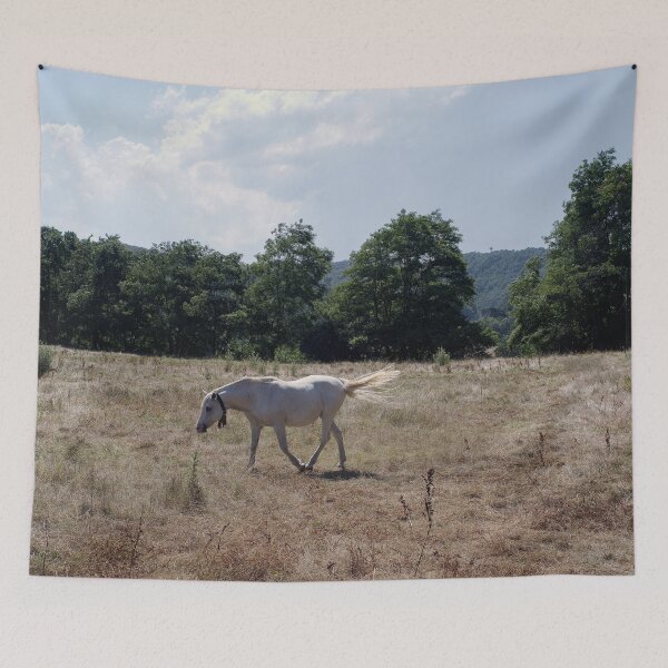Item preview, 2016 Cavallo bianco in Val Bormida designed and sold by robertoferrero.