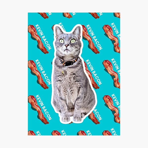 Item preview, kevin bacon designed and sold by theshinysquid.
