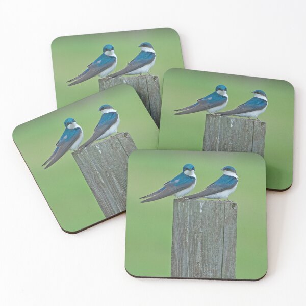 Item preview, what are you looking at designed and sold by KathleenRinker.