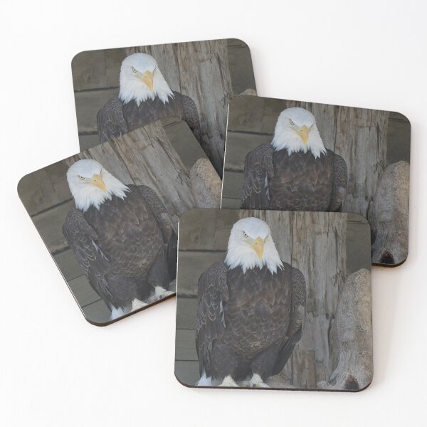 Artikelvorschau, Majestic Eagle entworfen und verkauft von KathleenRinker.