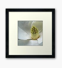 Magnolia Framed Print