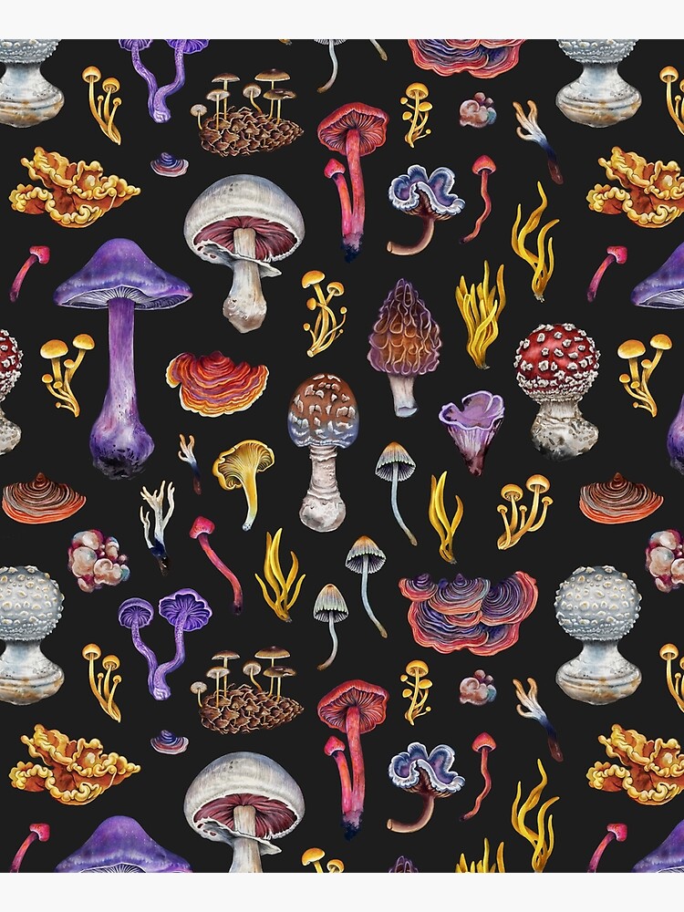 Fungi Joy by Saga-Mariah