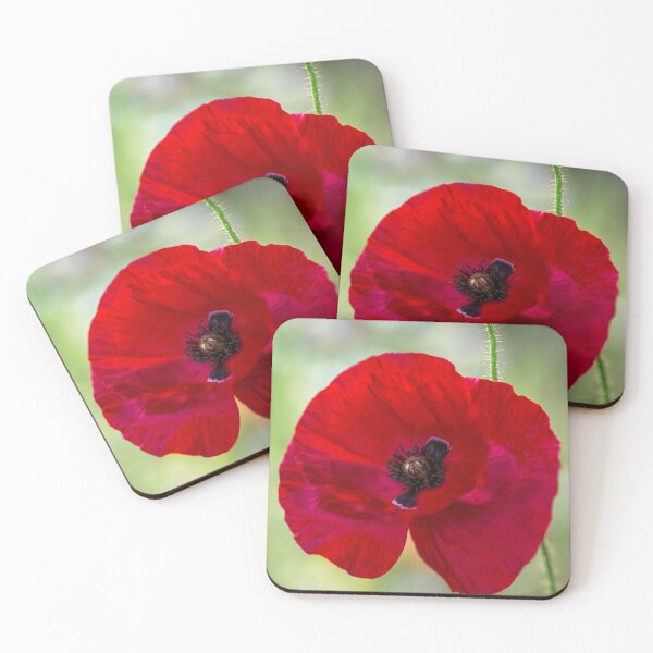 Item preview, Poppy flower designed and sold by AlbertMi.