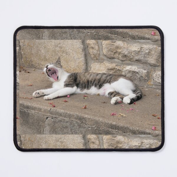 Item preview, 2510/ 16 Marais Poitevin " la Douceur de vivre pour la chatte de Coulon " 2020 par Okaio Créations - Olavia&Olao avec mon fz 2000 designed and sold by o.okaïo.