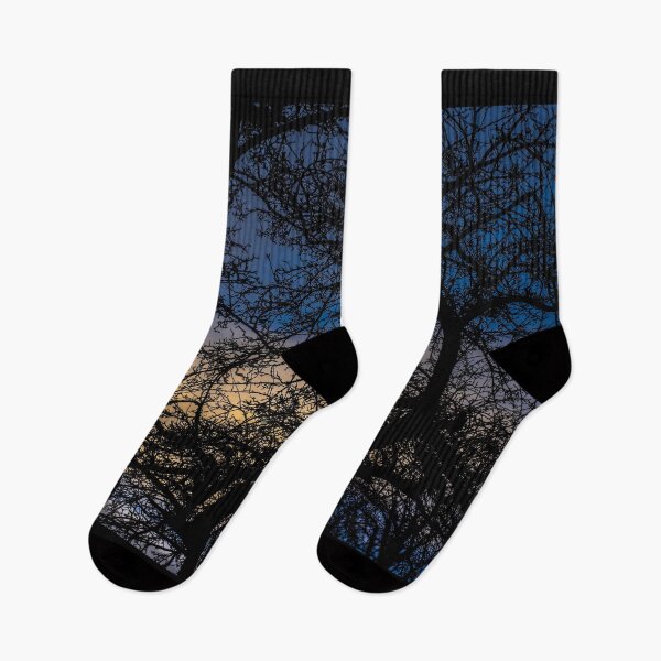 Item preview, Urban Trees At Dusk designed and sold by axp7884.