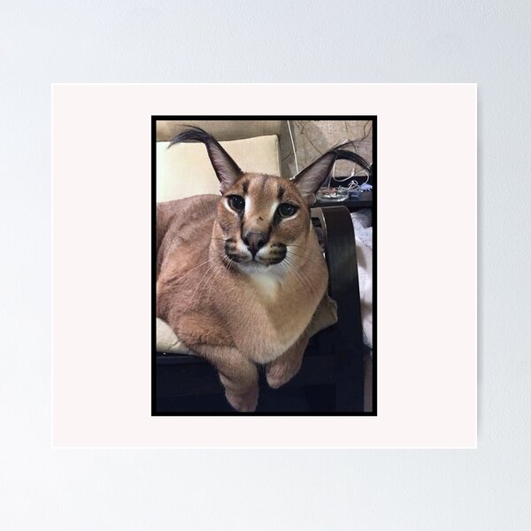 Big Floppa Caracal Cat Funny Meme Gaming Mouse Pad Custom Design