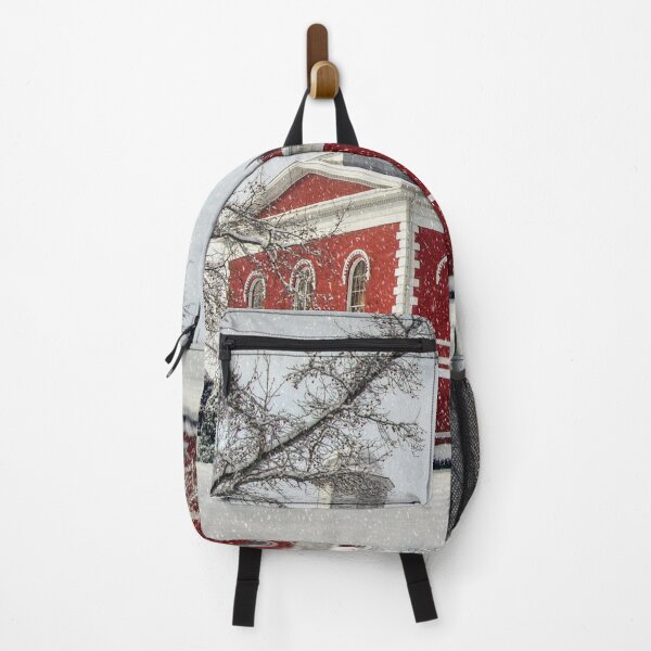 Item preview, Side View of the Courthouse in the Snow designed and sold by Frankie Cat Photography.