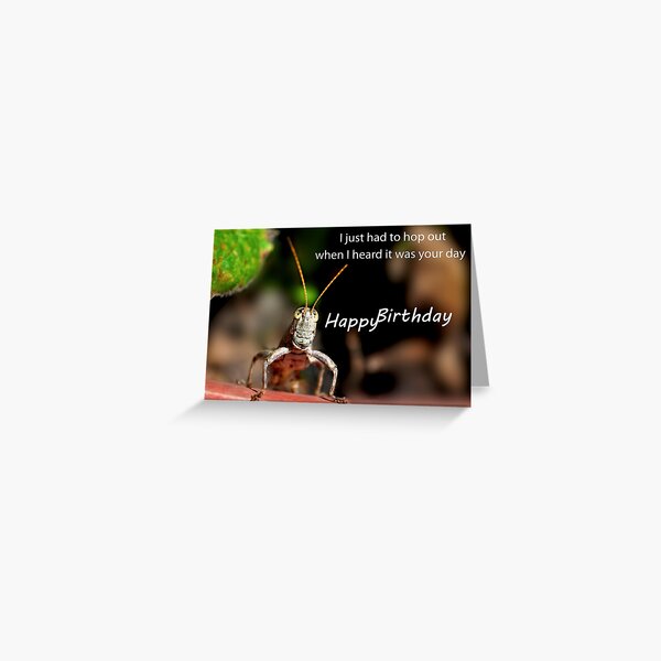 Hopping for A Happy Birthday Greeting Card