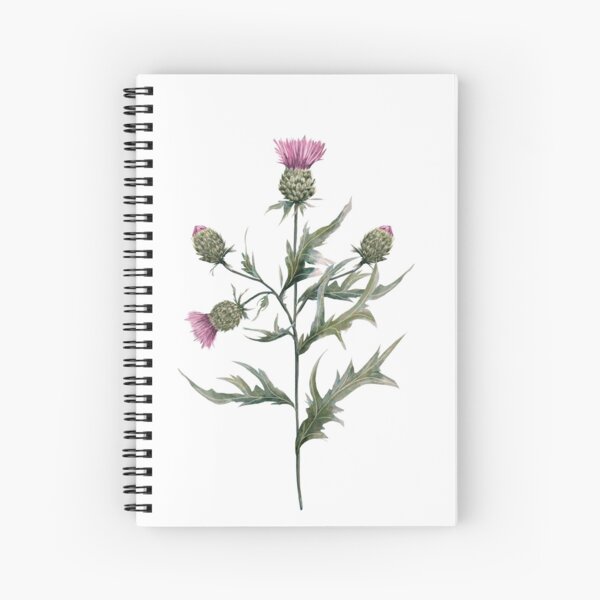 Item preview, Milk thistle Magical herbs  designed and sold by Sitenkovamary.