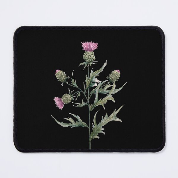 Item preview, Milk thistle Magical herbs  designed and sold by Sitenkovamary.