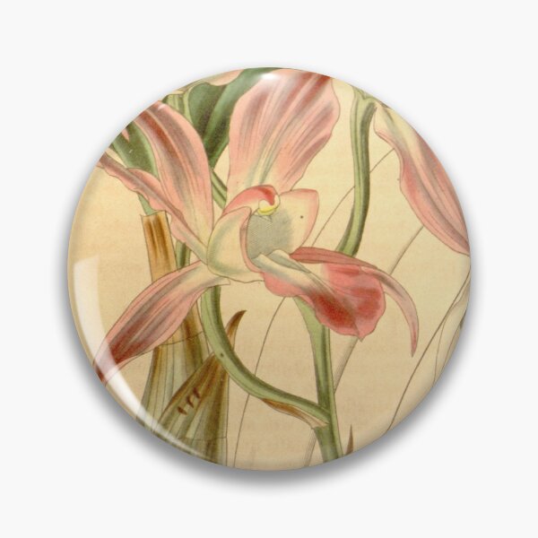 Item preview, Laelia autumnalis Curtis' 67 (N.S. 14) pl. 3817 (1841) designed and sold by EsotericBotanic.
