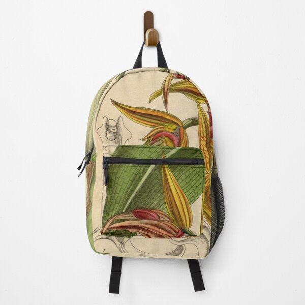 Item preview, Bulbophyllum sociale 144 8761 designed and sold by EsotericBotanic.