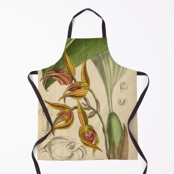 Item preview, Bulbophyllum sociale 144 8761 designed and sold by EsotericBotanic.