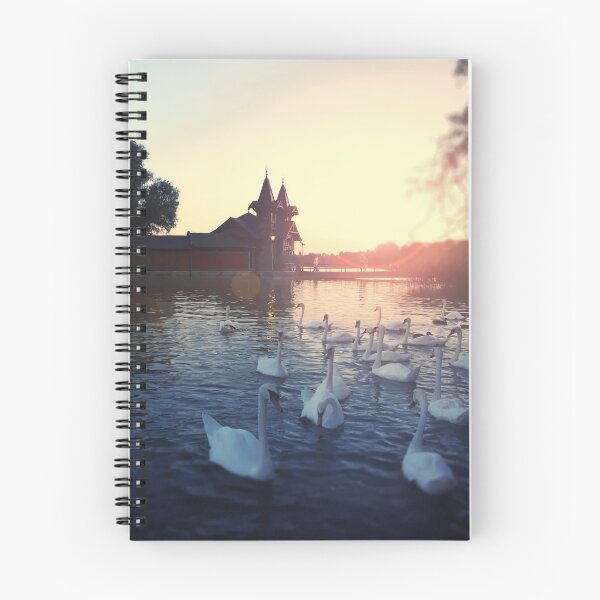 Item preview, Sunset over the lake with swans. Beautiful view of the wooden house on an island on Lake Balaton designed and sold by aquapixel.