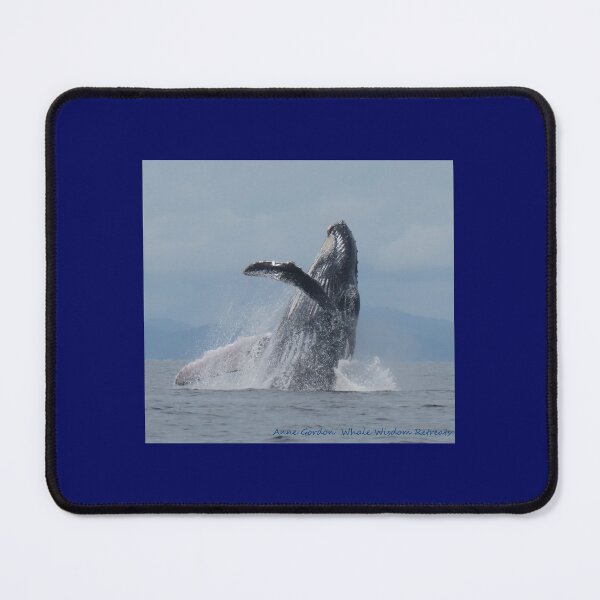 Item preview, Humpback Whale Breach designed and sold by Whale & Dolphin Wisdom Retreats.