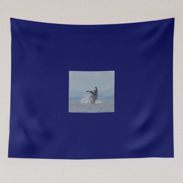 Artikelvorschau, Buckelwalbruch entworfen und verkauft von Whale & Dolphin Wisdom Retreats.