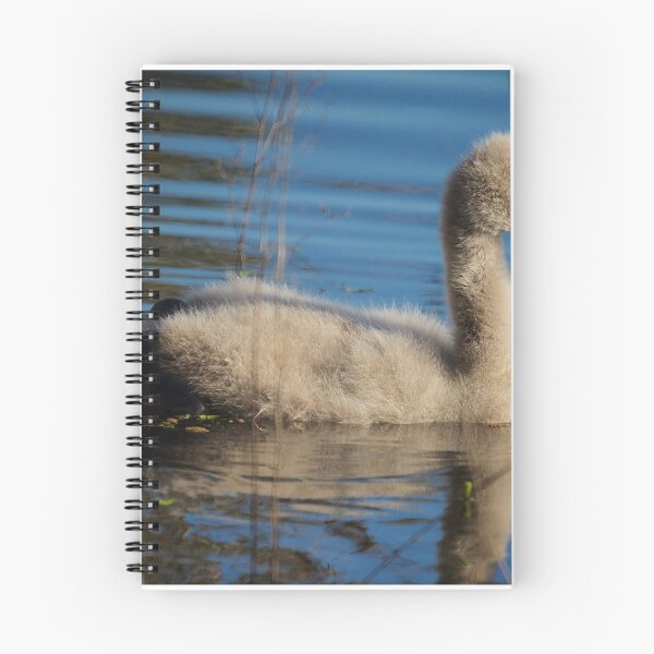Item preview, Cygnet designed and sold by D-GaP.