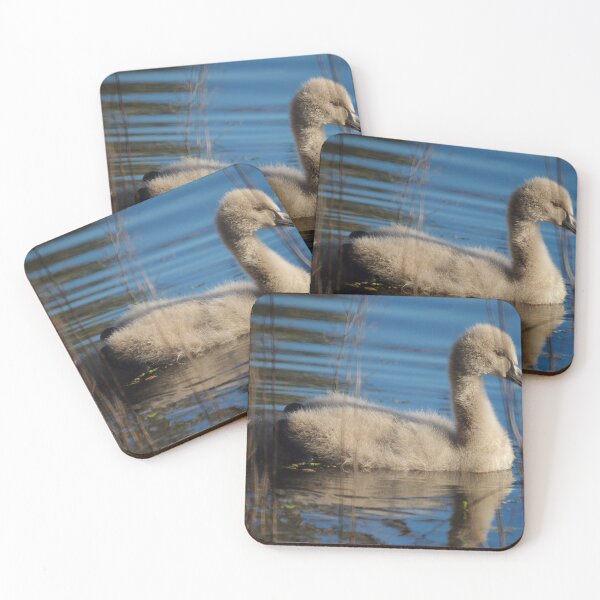 Item preview, Cygnet designed and sold by D-GaP.