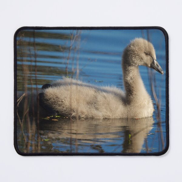 Item preview, Cygnet designed and sold by D-GaP.