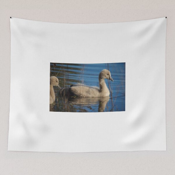 Item preview, Cygnet designed and sold by D-GaP.