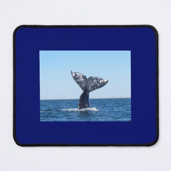 Item preview, Gray Whale Tail designed and sold by Whale & Dolphin Wisdom Retreats.