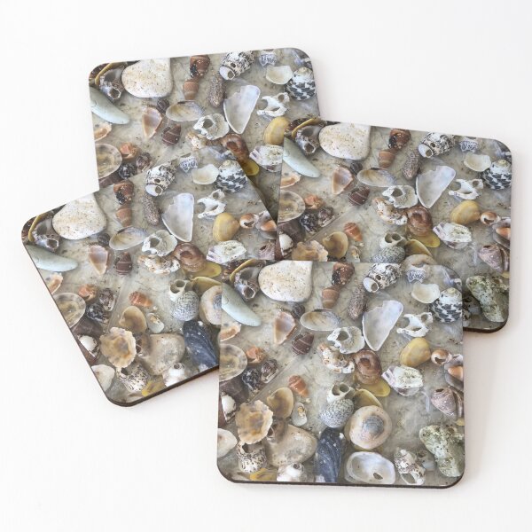 Item preview, Shells designed and sold by LeilaneDesigns.