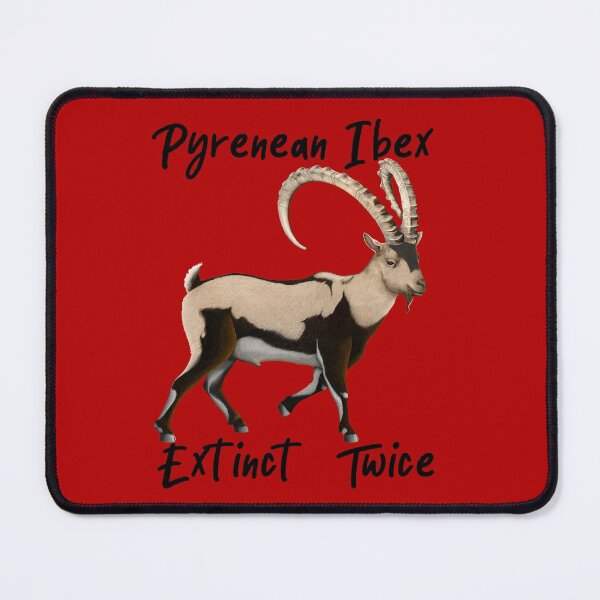 Item preview, Pyrenean Ibex - Extinct Twice designed and sold by Kestrelle.