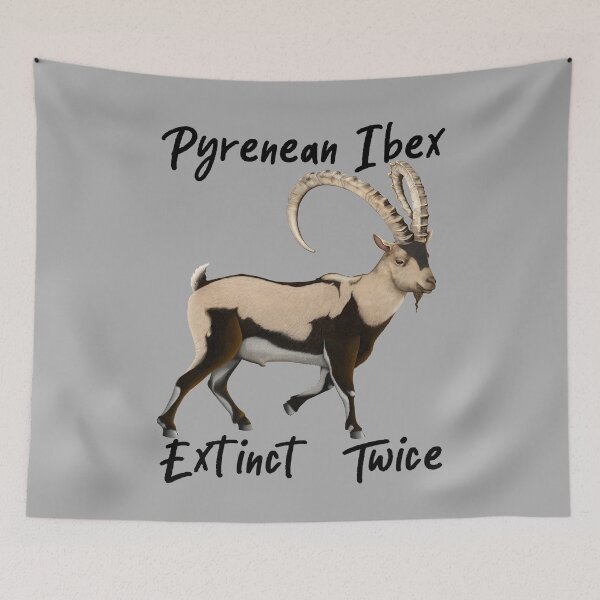 Item preview, Pyrenean Ibex - Extinct Twice designed and sold by Kestrelle.