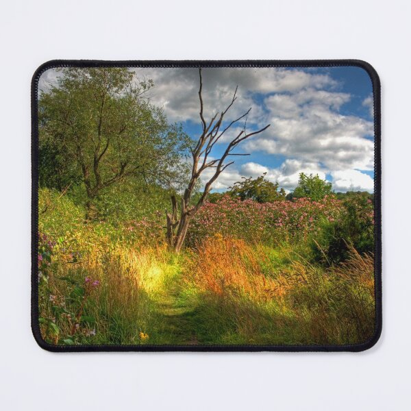 Item preview, Along the River Avon Heritage Trail designed and sold by tomg.
