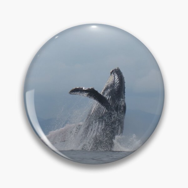 Item preview, Humpback Whale Breach designed and sold by Whale & Dolphin Wisdom Retreats.