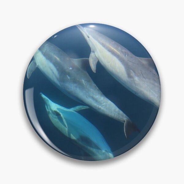 Item preview, Dolphin Shadow designed and sold by Whale & Dolphin Wisdom Retreats.