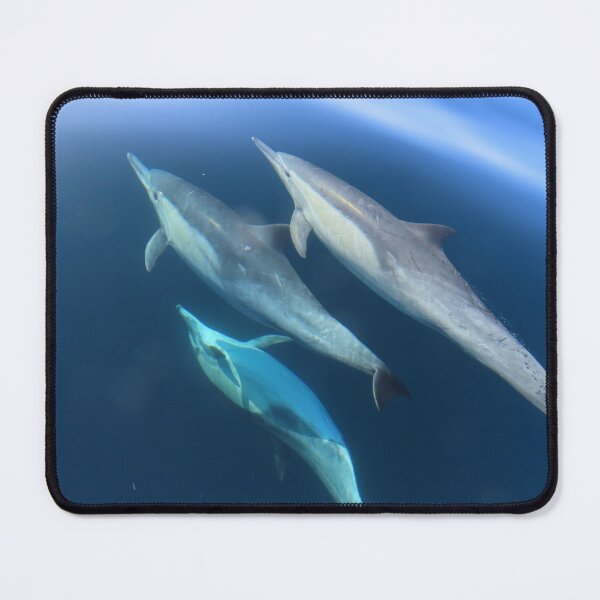 Item preview, Dolphin Shadow designed and sold by Whale & Dolphin Wisdom Retreats.