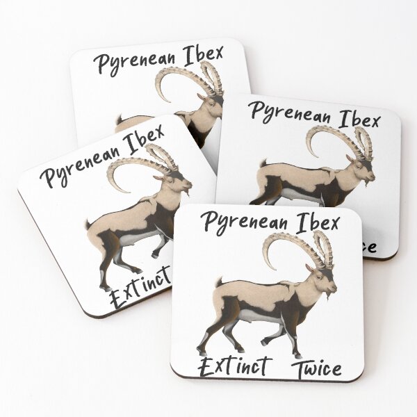 Item preview, Pyrenean Ibex - Extinct Twice designed and sold by Kestrelle.