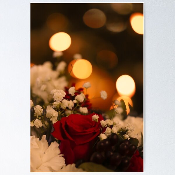 Aperçu de l'œuvre Joyeuses fêtes créée et vendue par Photosbybrooke.