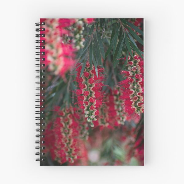 Item preview, Bottlebrush designed and sold by Gabrielle Pattenden.