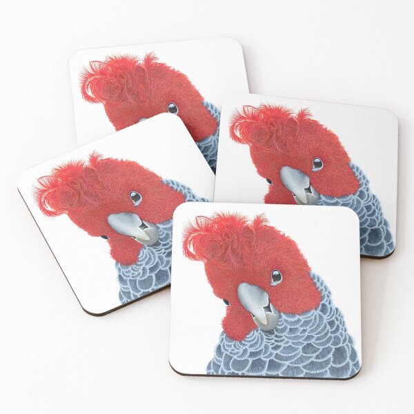 Smiling Gang Gang Coasters (Set of 4)