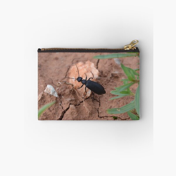 Item preview, Beetle traveling on rock along cracked ground designed and sold by WilloughbyArts.