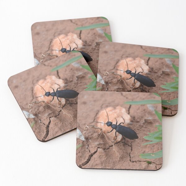 Item preview, Beetle traveling on rock along cracked ground designed and sold by WilloughbyArts.