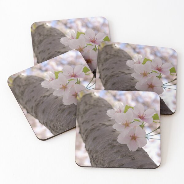 Artikelvorschau, Cherry Blossoms entworfen und verkauft von Jacki Temple.