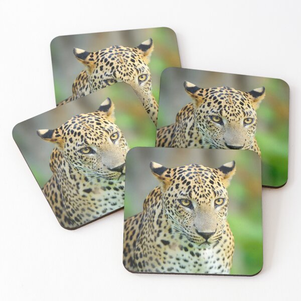 Item preview, Leopard designed and sold by AnimalLover4eva.