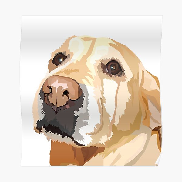 Yellow Lab Poster