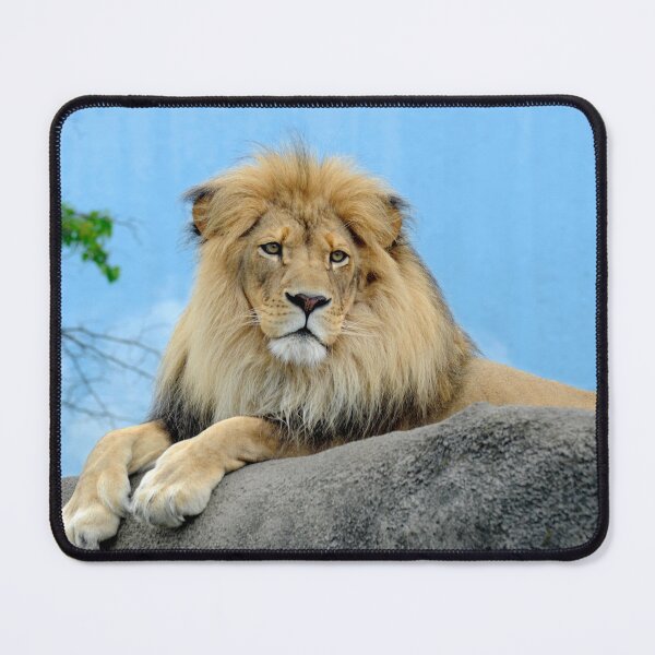 Item preview, Lion designed and sold by AnimalLover4eva.