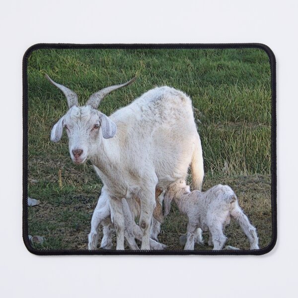 Item preview, Goat Nanny and Kids designed and sold by dogplay.