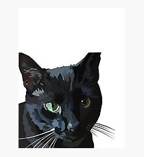 Black Cat Photographic Print