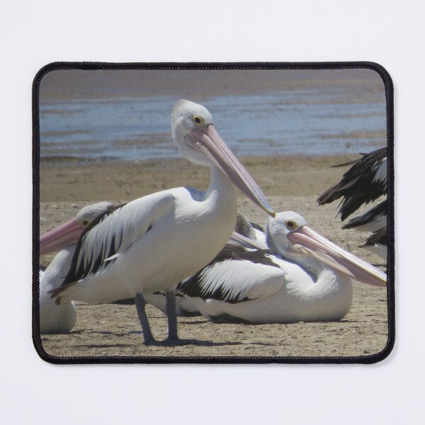 Item preview, Pelican Family designed and sold by Honey Myrtle Studio.